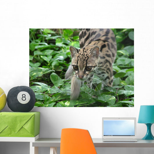 ocelot1 Wall Mural
