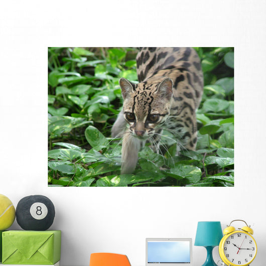 ocelot1 Wall Mural
