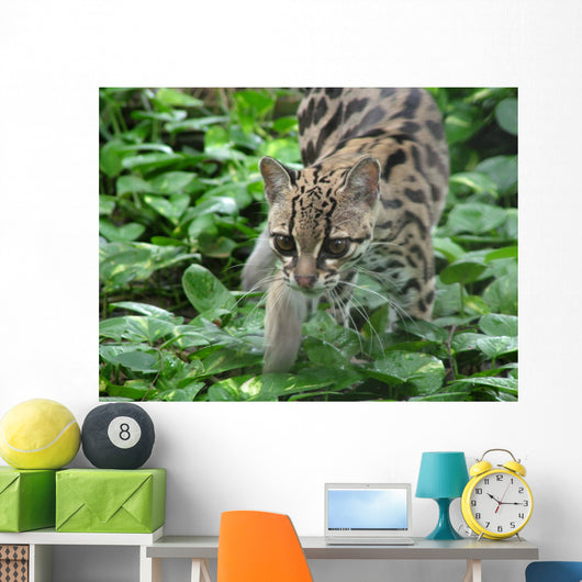 ocelot1 Wall Mural