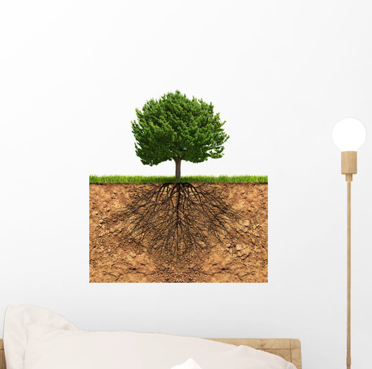 Big Green Tree with
