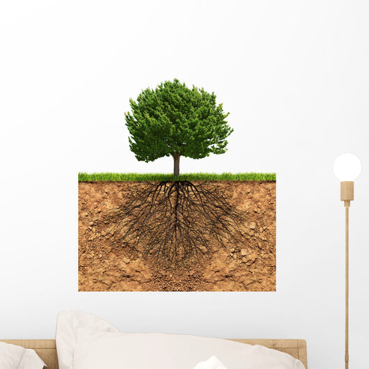 Big Green Tree with