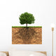 Big Green Tree with