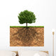 Big Green Tree with