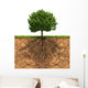 Big Green Tree with