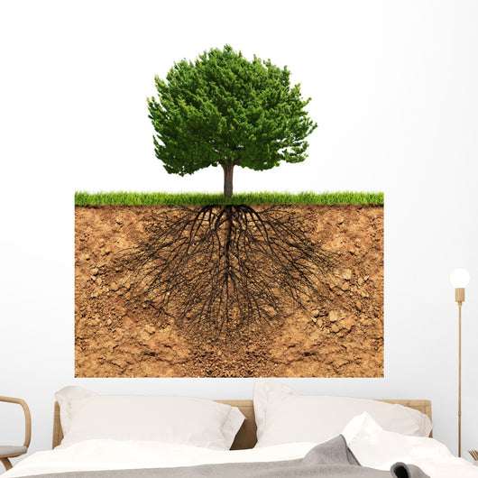 Big Green Tree with