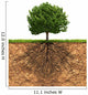 Big Green Tree with