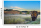 Badlands Bison Wall Mural