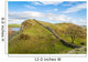 Hadrian's Wall looking at the famous sycamore gap Wall Mural