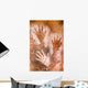 Ancient Cave Painting Wall Mural