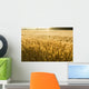 Misty Sunrise Over Golden Wheat Field in Central Kansas Wall Mural