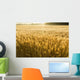 Misty Sunrise Over Golden Wheat Field in Central Kansas Wall Mural
