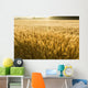 Misty Sunrise Over Golden Wheat Field in Central Kansas Wall Mural