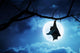 Creepy Halloween Bat Hangs Upside Down With Full Moon Wall Mural