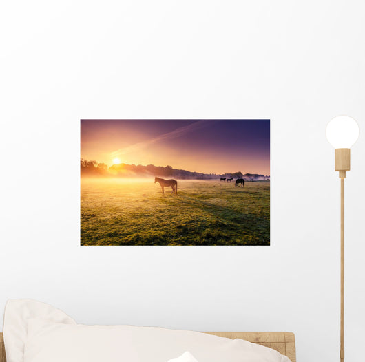 Horses Grazing Pasture Wall Mural