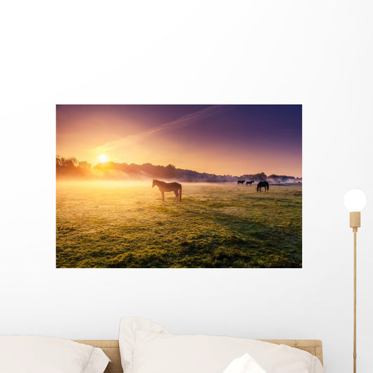 horses grazing on pasture Wall Mural