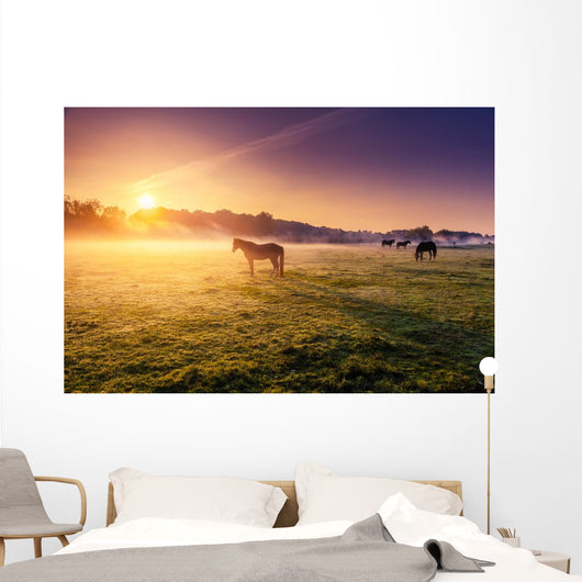 horses grazing on pasture Wall Mural