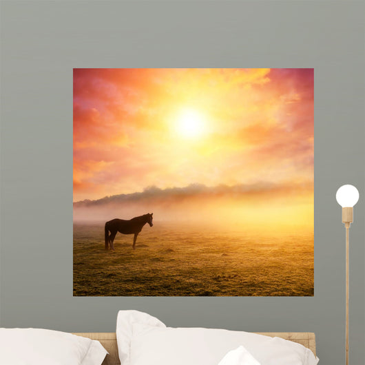 horses grazing on pasture Wall Mural