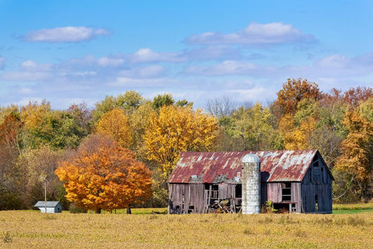 Old Barn in Autumn Wall Mural