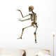 Human Skeleton Wall Decal