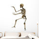 Human Skeleton Wall Decal
