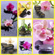 Spa Stones Collage