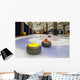 Curling stones on an indoor rink Wall Mural