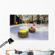 Curling stones on an indoor rink Wall Mural