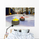 Curling stones on an indoor rink Wall Mural