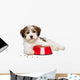 Happy Havanese Puppy Dog