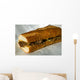 Authentic Philadelphia Cheesesteak Wall Mural