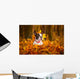 Portrait of french bulldog in autumnal scenery Wall Mural