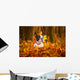 Portrait of french bulldog in autumnal scenery Wall Mural