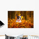 Portrait of french bulldog in autumnal scenery Wall Mural
