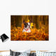 Portrait of french bulldog in autumnal scenery Wall Mural