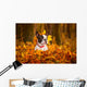 Portrait of french bulldog in autumnal scenery Wall Mural