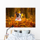 Portrait of french bulldog in autumnal scenery Wall Mural