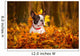 Portrait of french bulldog in autumnal scenery Wall Mural