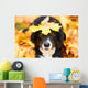 Black dog and maple leaf, autumn Wall Mural