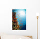 Red Sea Underwater Wall Mural