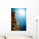 Red Sea Underwater Wall Mural