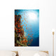 Red Sea Underwater Wall Mural