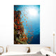 Red Sea Underwater Wall Mural