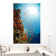 Red Sea Underwater Wall Mural