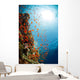 Red Sea Underwater Wall Mural