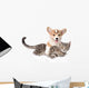 Corgi Pets Cat Wall Decal