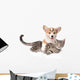 Corgi Pets Cat Wall Decal