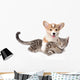 Corgi Pets Cat Wall Decal