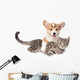 Corgi Pets Cat Wall Decal