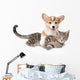 Corgi Pets Cat Wall Decal