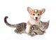 Corgi Pets Cat Wall Decal